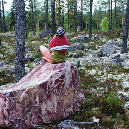 16 - Fulufjellets Nasjonalparker - Natur-, Dyre- Og Fugleopplevelser Ljørdal 外观 照片