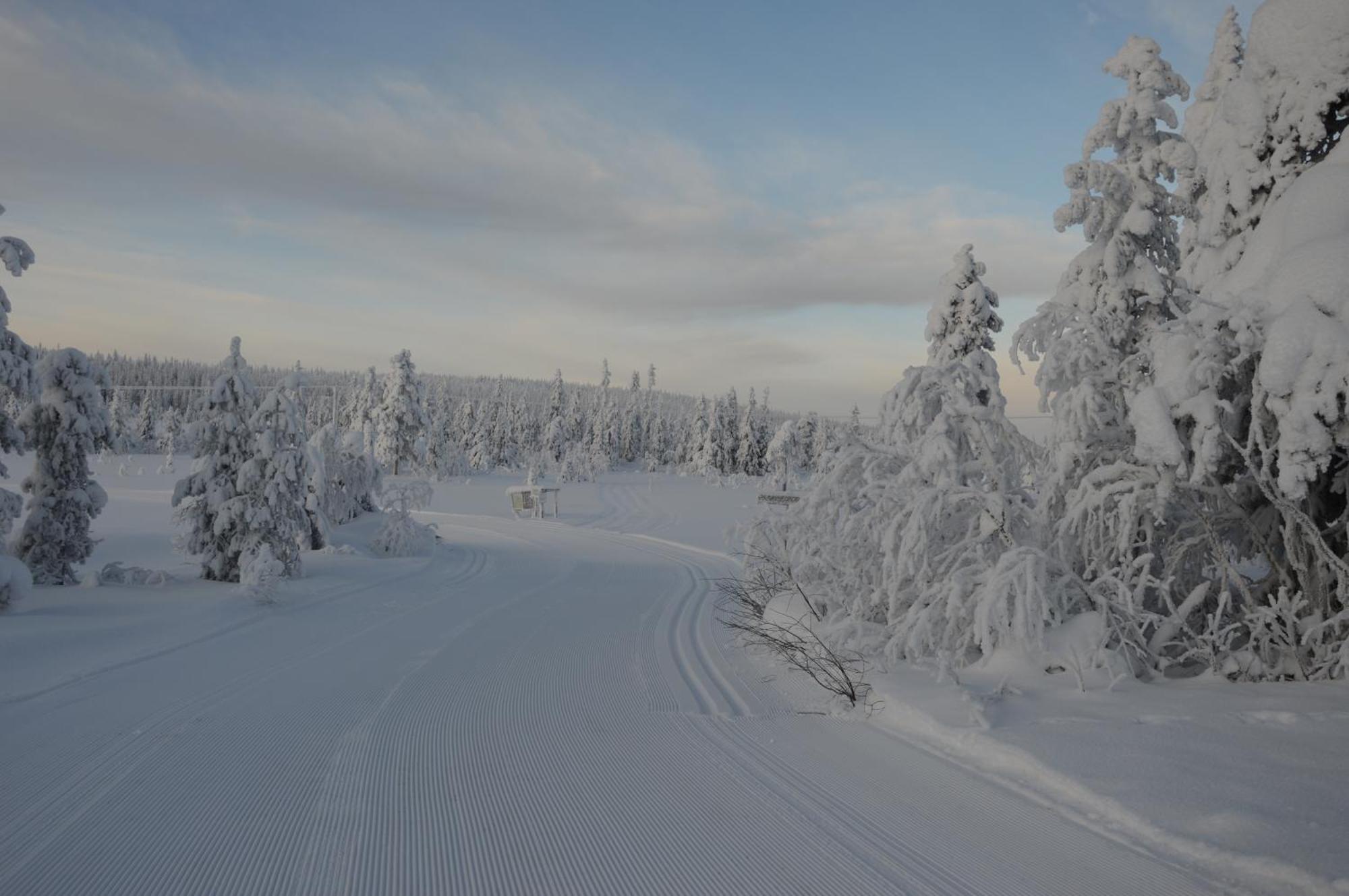 16 - Fulufjellets Nasjonalparker - Natur-, Dyre- Og Fugleopplevelser Ljørdal 外观 照片