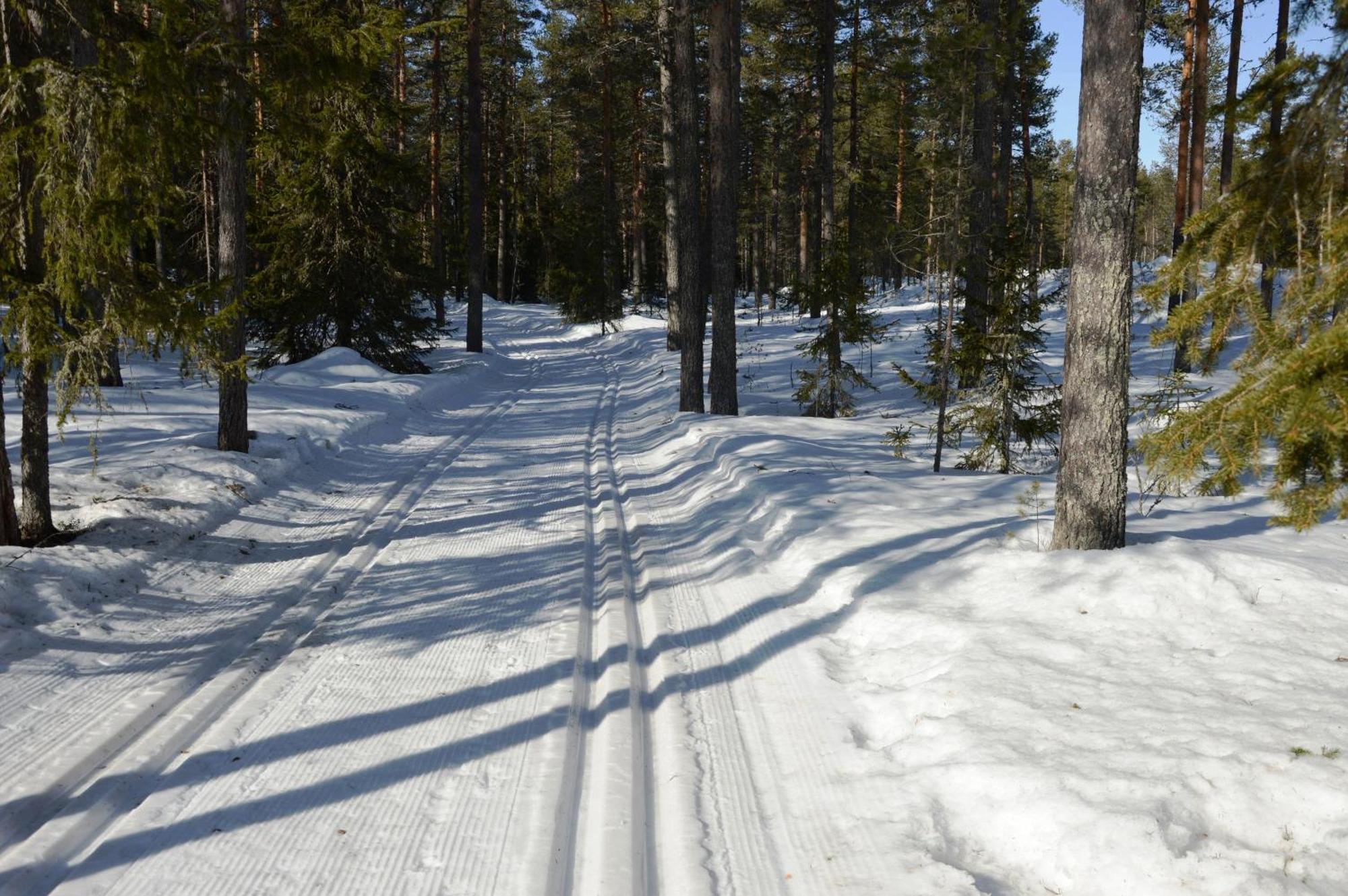 16 - Fulufjellets Nasjonalparker - Natur-, Dyre- Og Fugleopplevelser Ljørdal 外观 照片