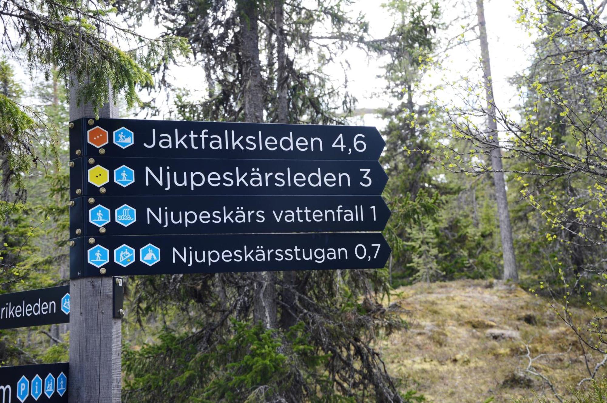 16 - Fulufjellets Nasjonalparker - Natur-, Dyre- Og Fugleopplevelser Ljørdal 外观 照片