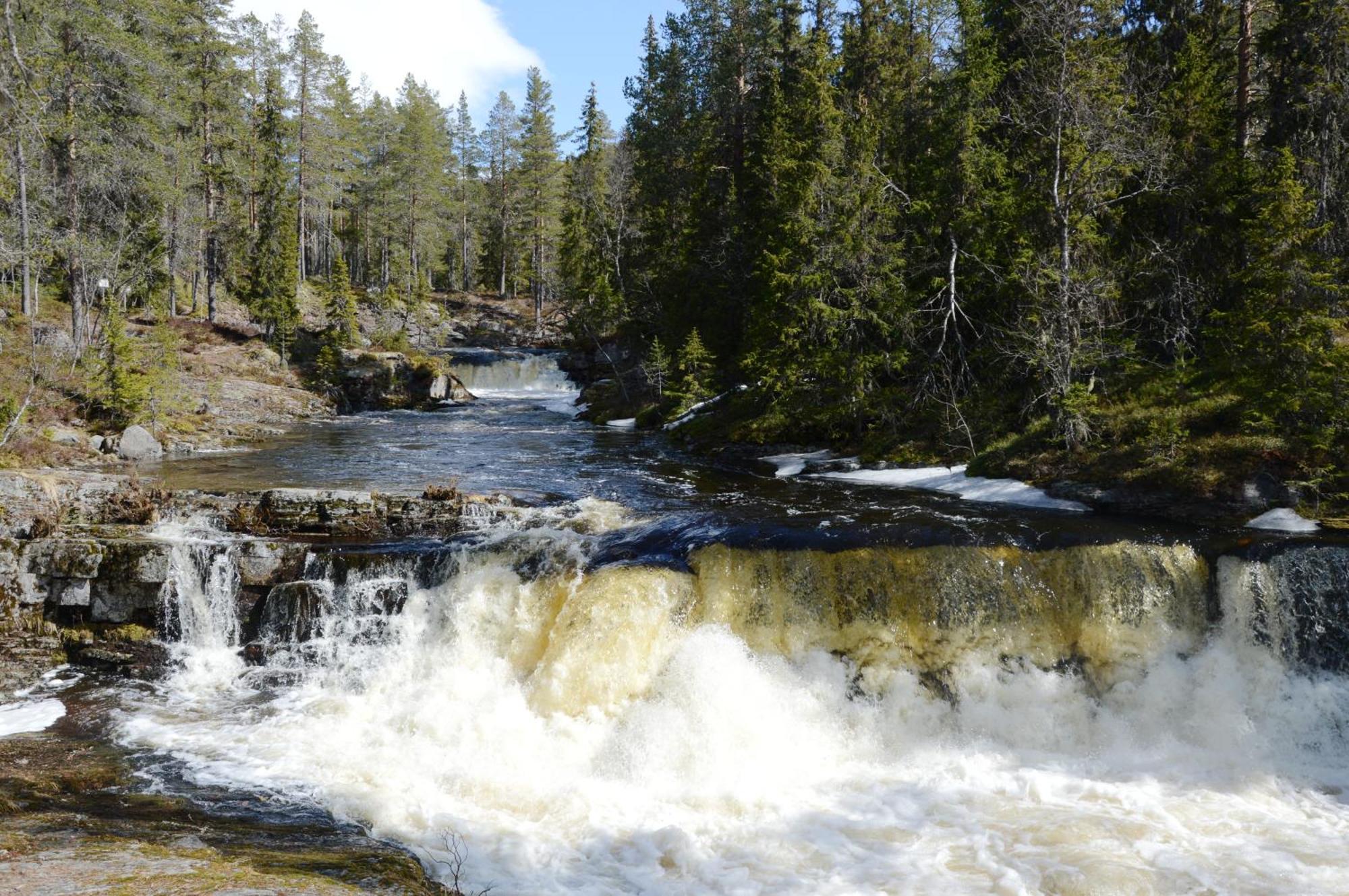 16 - Fulufjellets Nasjonalparker - Natur-, Dyre- Og Fugleopplevelser Ljørdal 外观 照片