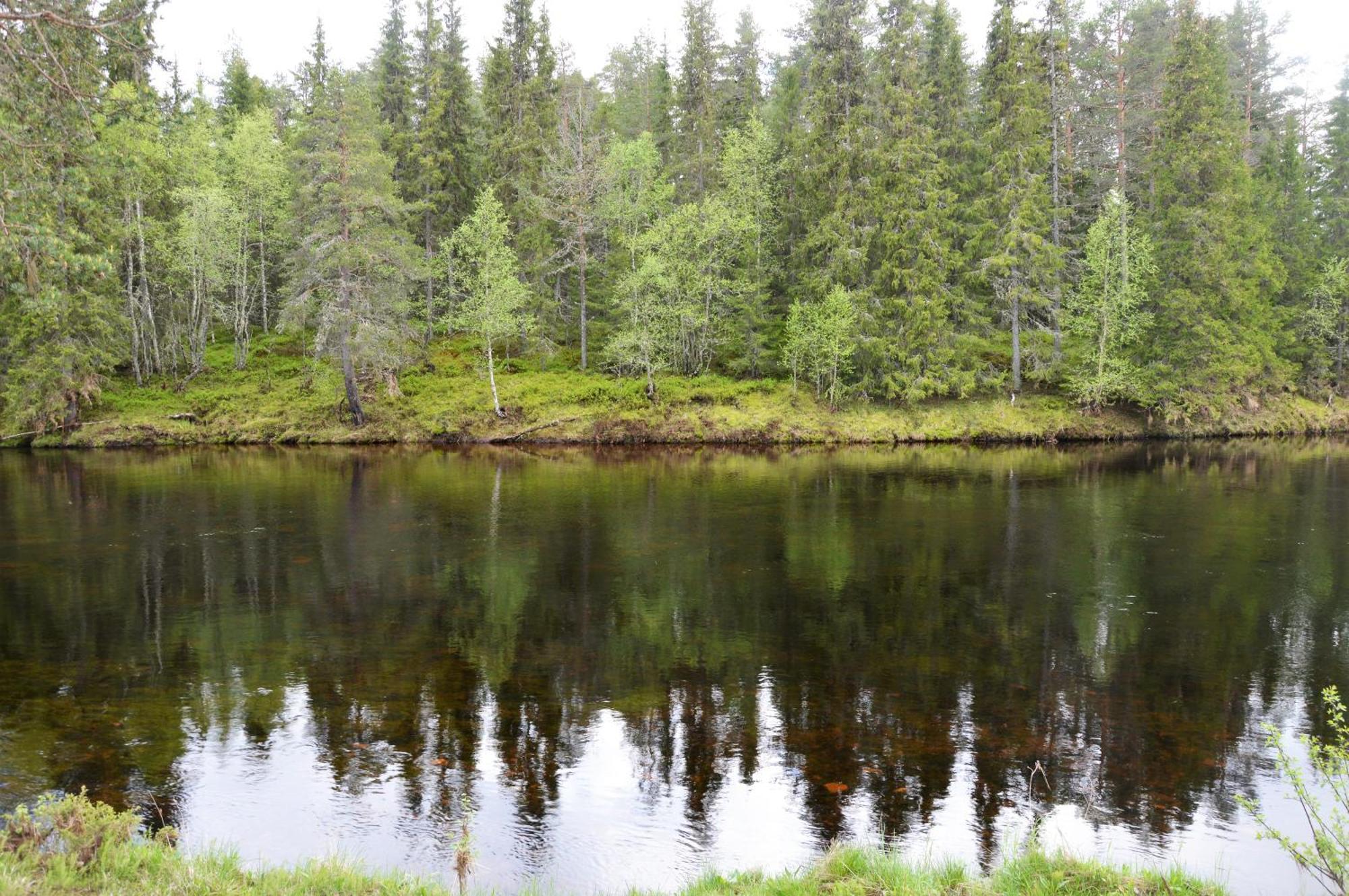 16 - Fulufjellets Nasjonalparker - Natur-, Dyre- Og Fugleopplevelser Ljørdal 外观 照片