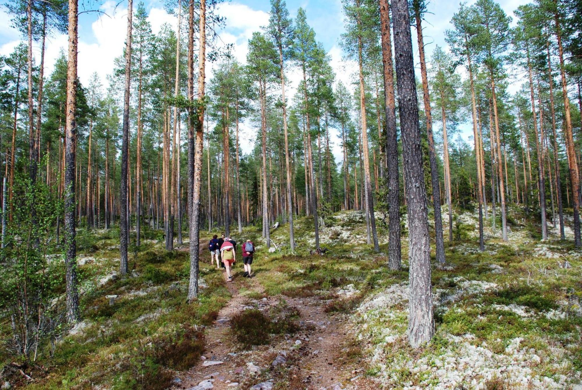 16 - Fulufjellets Nasjonalparker - Natur-, Dyre- Og Fugleopplevelser Ljørdal 外观 照片