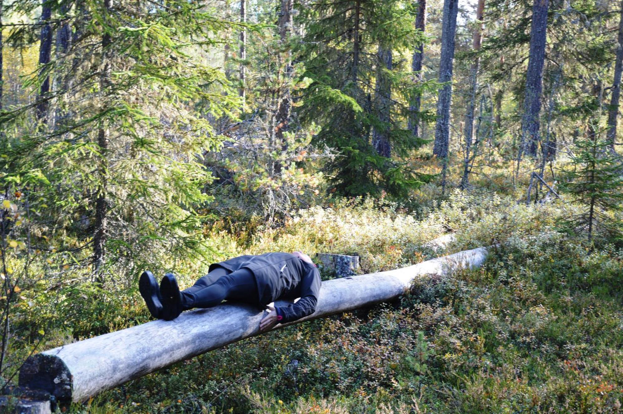 16 - Fulufjellets Nasjonalparker - Natur-, Dyre- Og Fugleopplevelser Ljørdal 外观 照片
