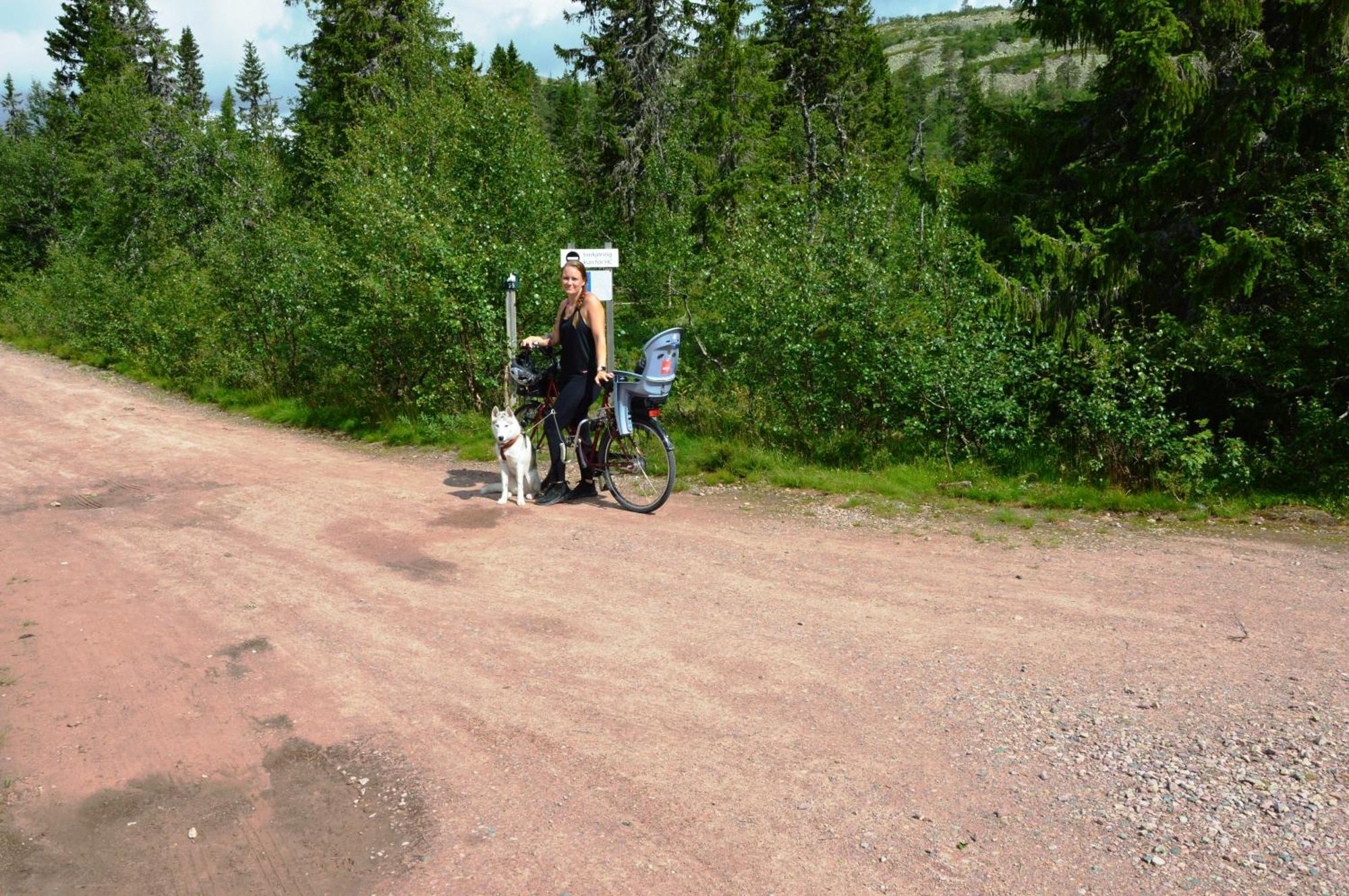 16 - Fulufjellets Nasjonalparker - Natur-, Dyre- Og Fugleopplevelser Ljørdal 外观 照片