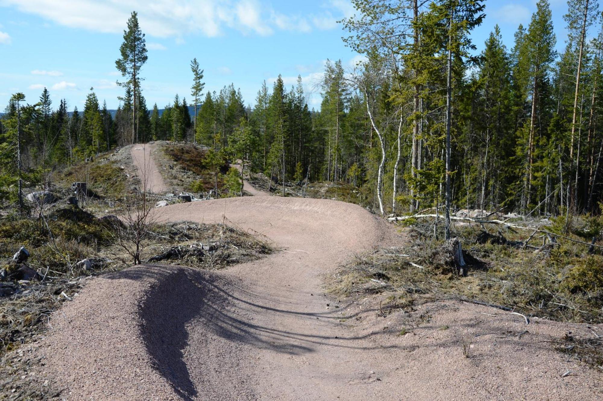 16 - Fulufjellets Nasjonalparker - Natur-, Dyre- Og Fugleopplevelser Ljørdal 外观 照片