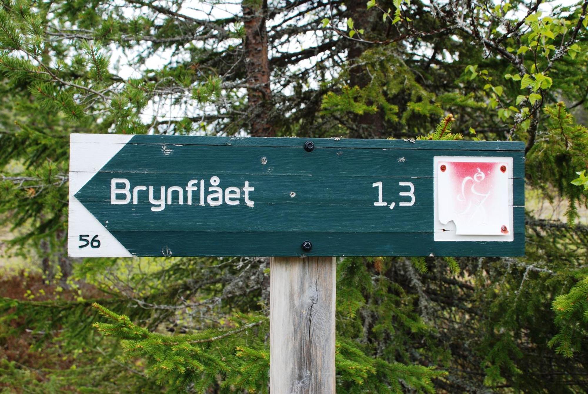 16 - Fulufjellets Nasjonalparker - Natur-, Dyre- Og Fugleopplevelser Ljørdal 外观 照片