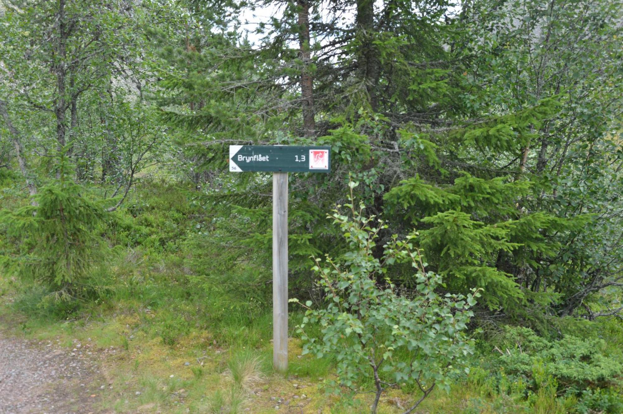 16 - Fulufjellets Nasjonalparker - Natur-, Dyre- Og Fugleopplevelser Ljørdal 外观 照片