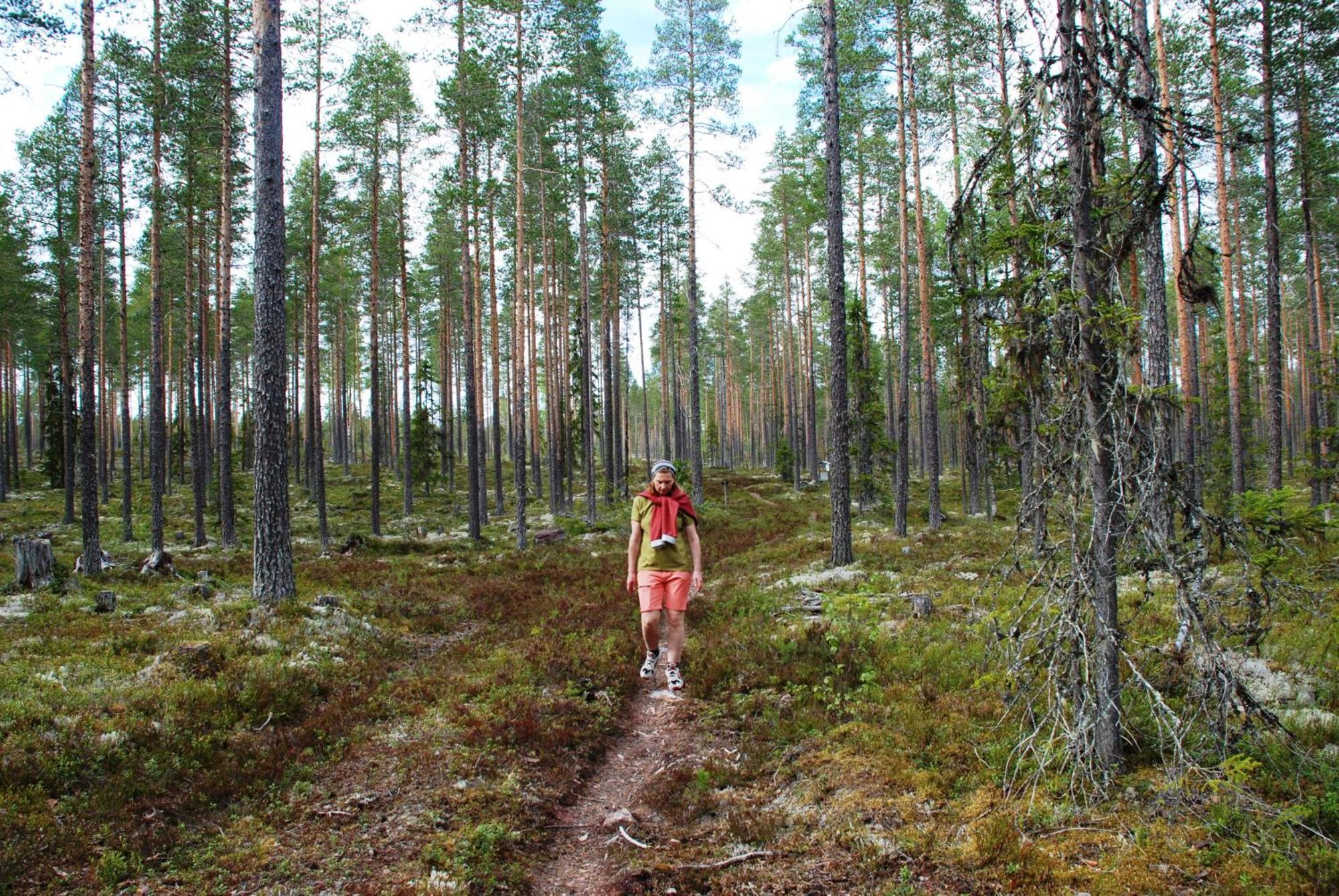 16 - Fulufjellets Nasjonalparker - Natur-, Dyre- Og Fugleopplevelser Ljørdal 外观 照片