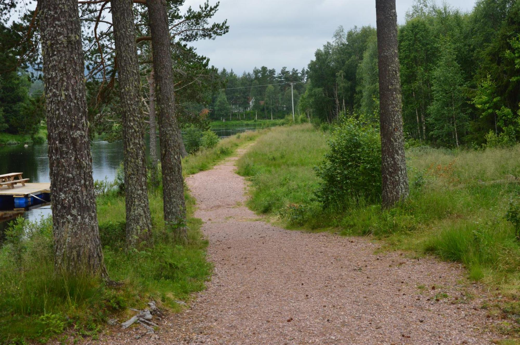 16 - Fulufjellets Nasjonalparker - Natur-, Dyre- Og Fugleopplevelser Ljørdal 外观 照片