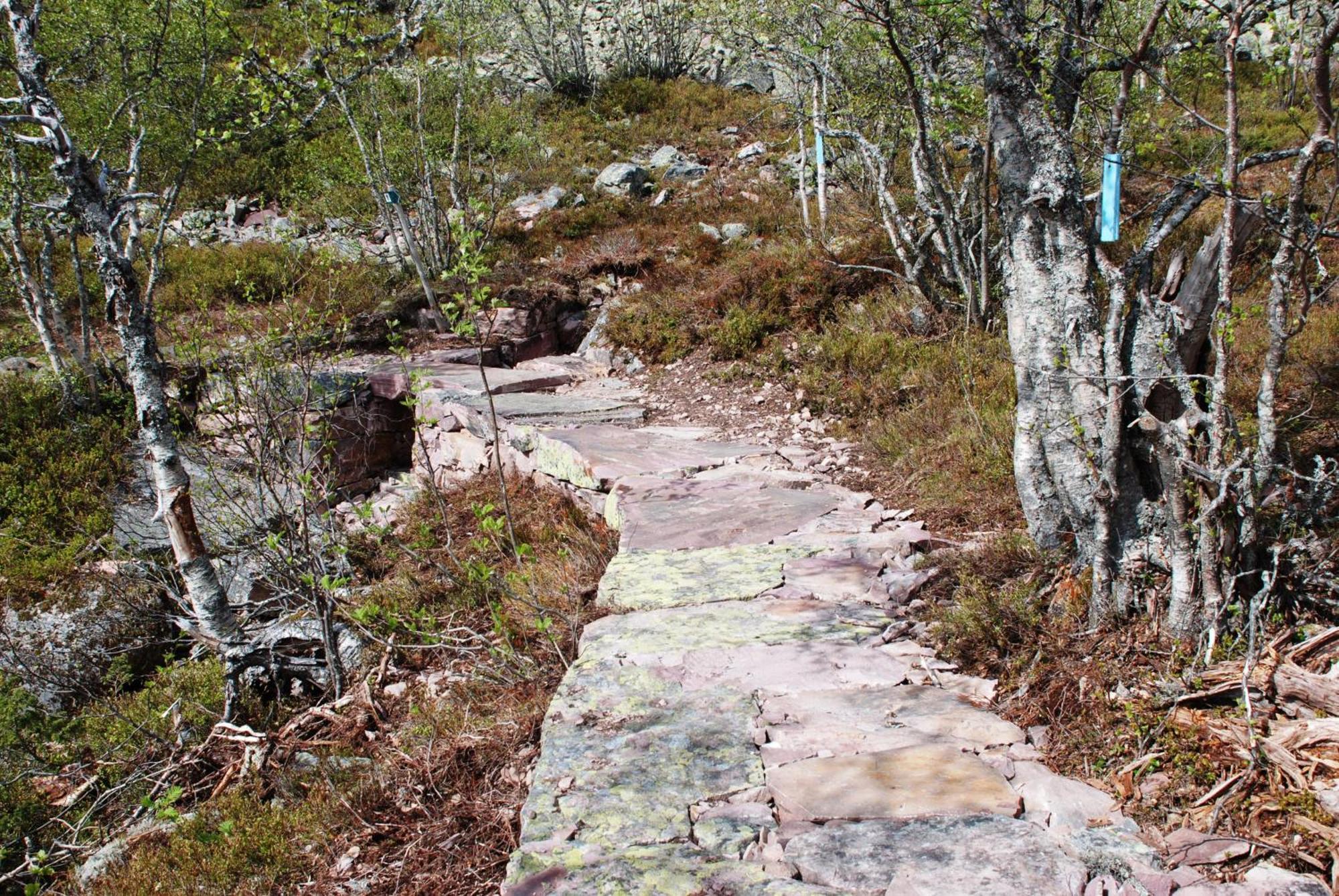 16 - Fulufjellets Nasjonalparker - Natur-, Dyre- Og Fugleopplevelser Ljørdal 外观 照片