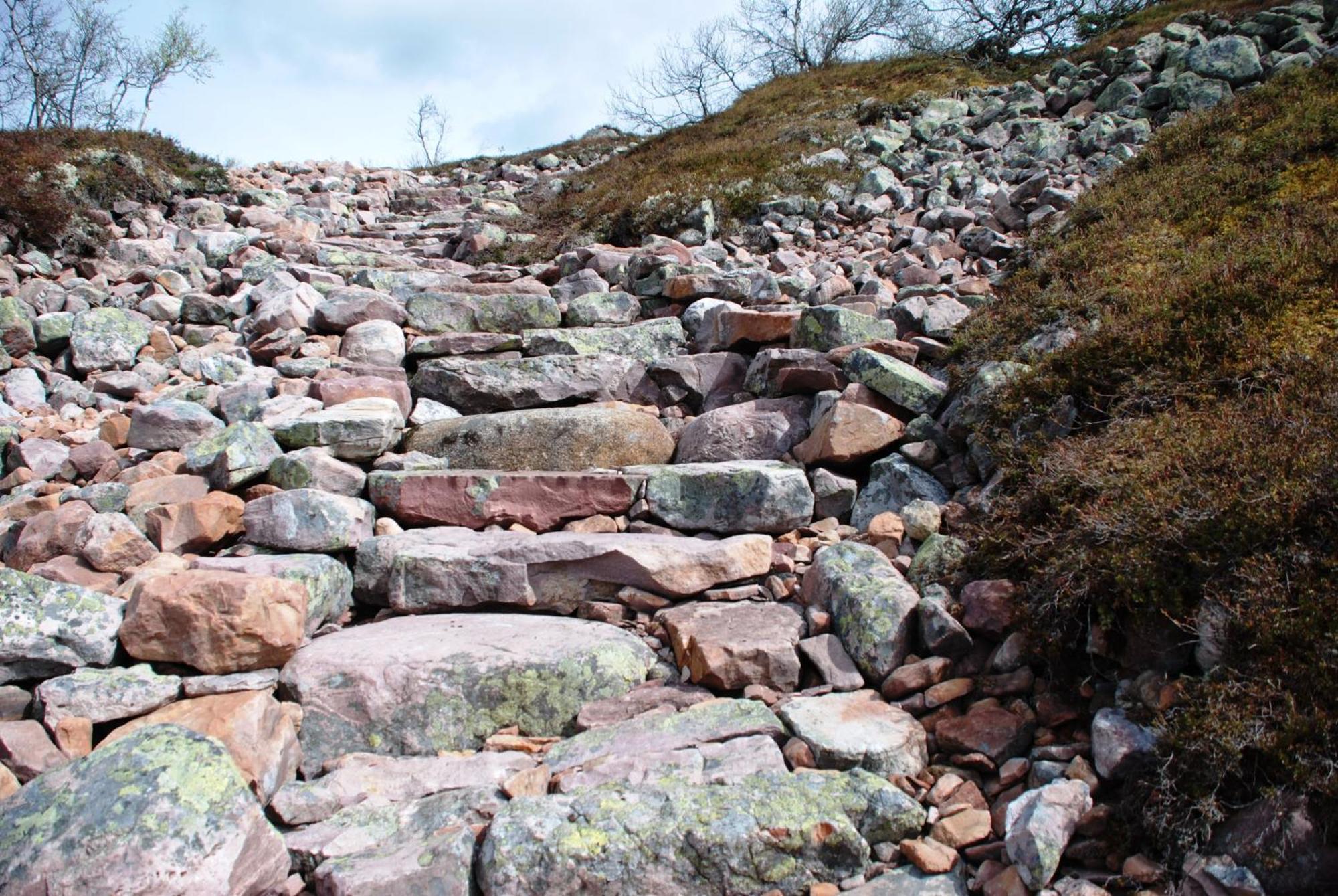 16 - Fulufjellets Nasjonalparker - Natur-, Dyre- Og Fugleopplevelser Ljørdal 外观 照片