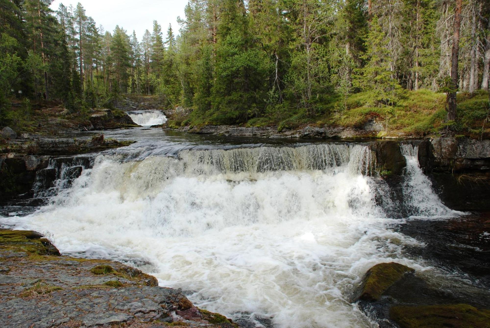 16 - Fulufjellets Nasjonalparker - Natur-, Dyre- Og Fugleopplevelser Ljørdal 外观 照片