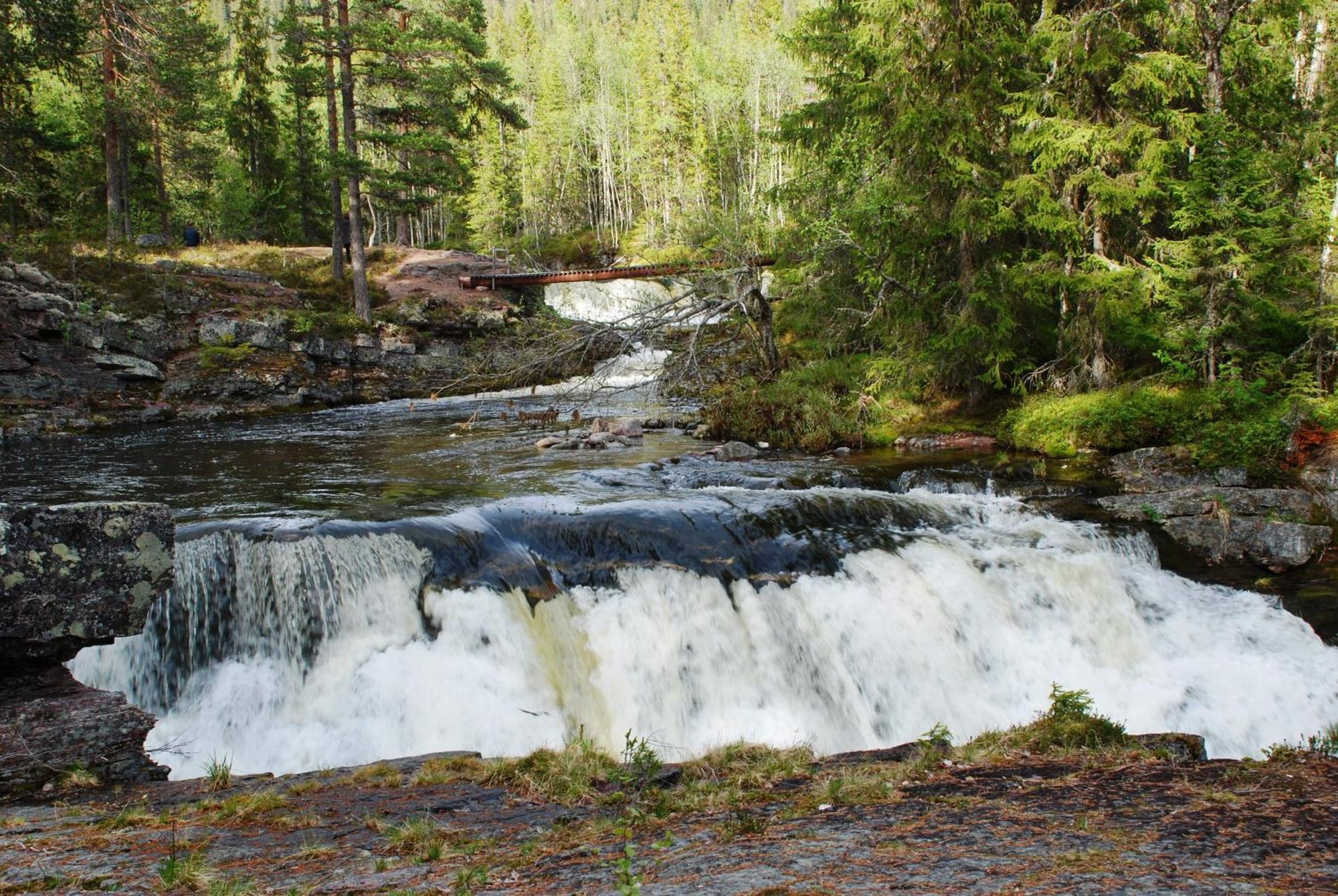 16 - Fulufjellets Nasjonalparker - Natur-, Dyre- Og Fugleopplevelser Ljørdal 外观 照片