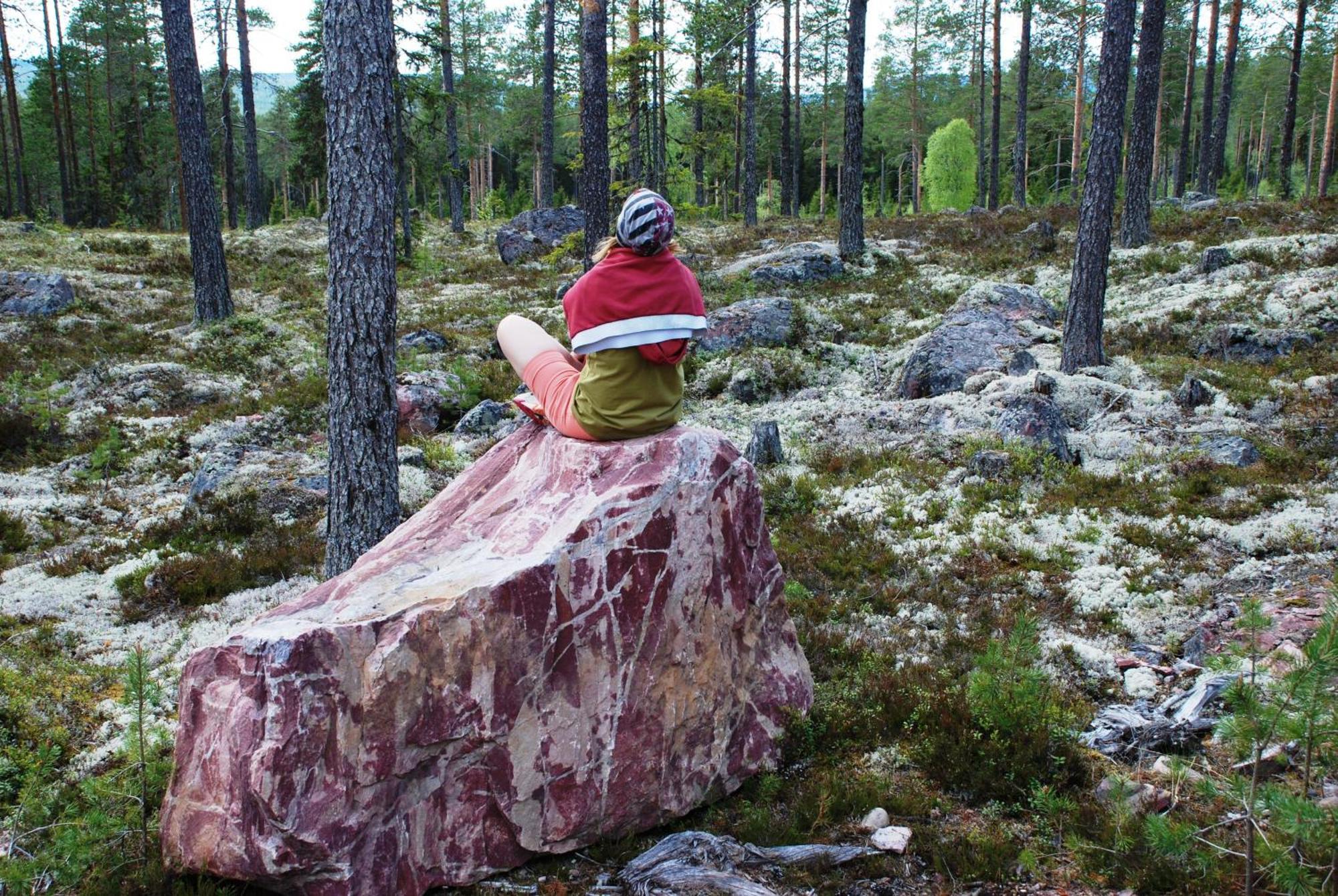 16 - Fulufjellets Nasjonalparker - Natur-, Dyre- Og Fugleopplevelser Ljørdal 外观 照片